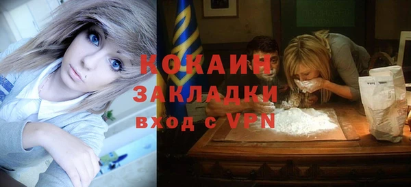 гидра Богданович