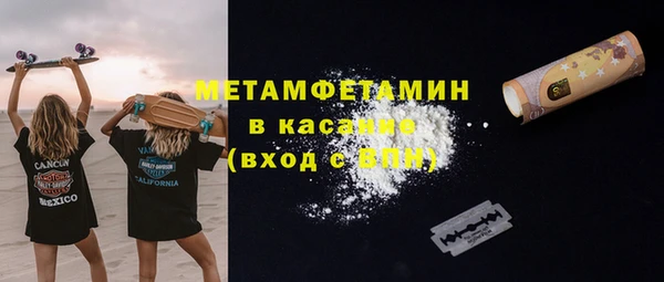 гидра Богданович
