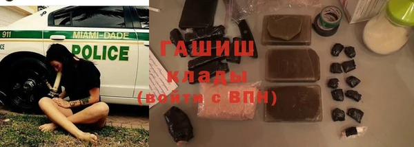 гидра Богданович