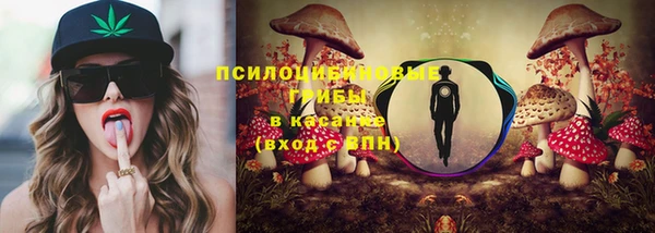 гидра Богданович