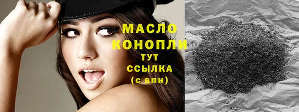 гидра Богданович