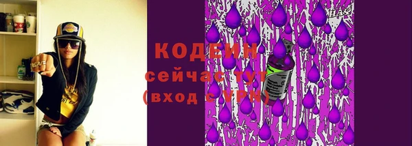 гидра Богданович