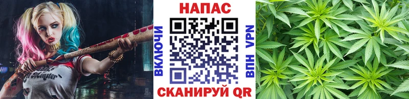 где купить наркотик  Тбилисская  kraken сайт  МАРИХУАНА тримм 